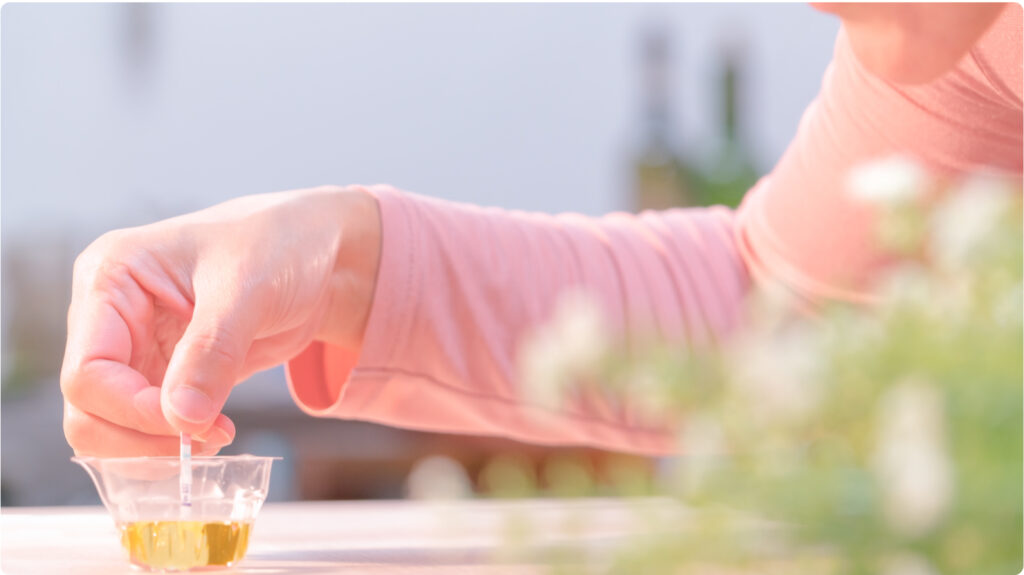 Sử dụng que thử rụng trứng cũng là 1 trong những phương pháp xác định ngày rụng trứng