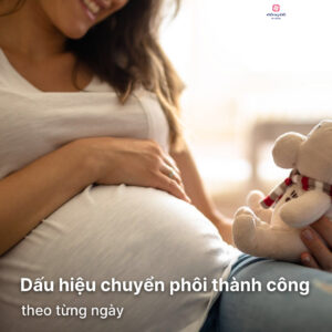 dấu hiệu chuyển phôi thành công theo từng ngày