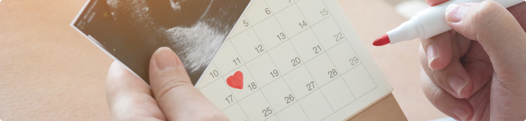 Hiện nay cũng có rất nhiều công cụ hỗ trợ tính toán ngày rụng trứng