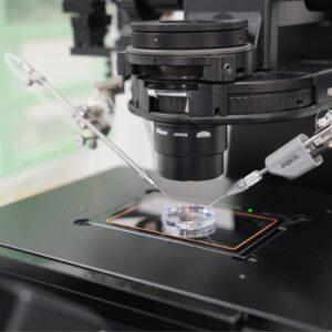 PIEZO ICSI