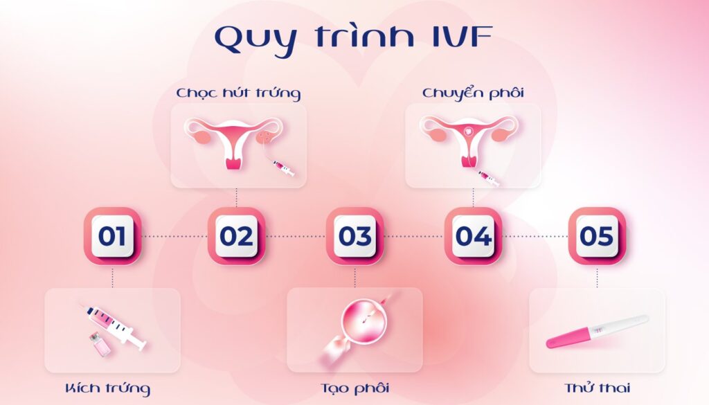 Quy trình IVF truyền thống