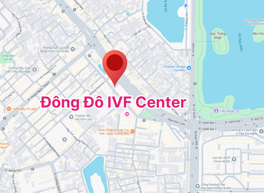 Vị trí đông đô ivf center