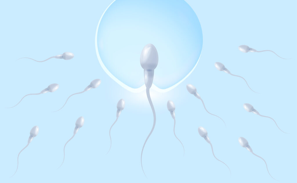 IVF