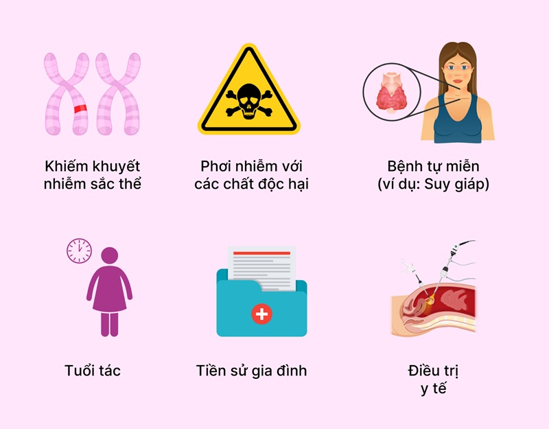 4 Nguyên nhân chính gây suy giảm hoạt động buồng trứng