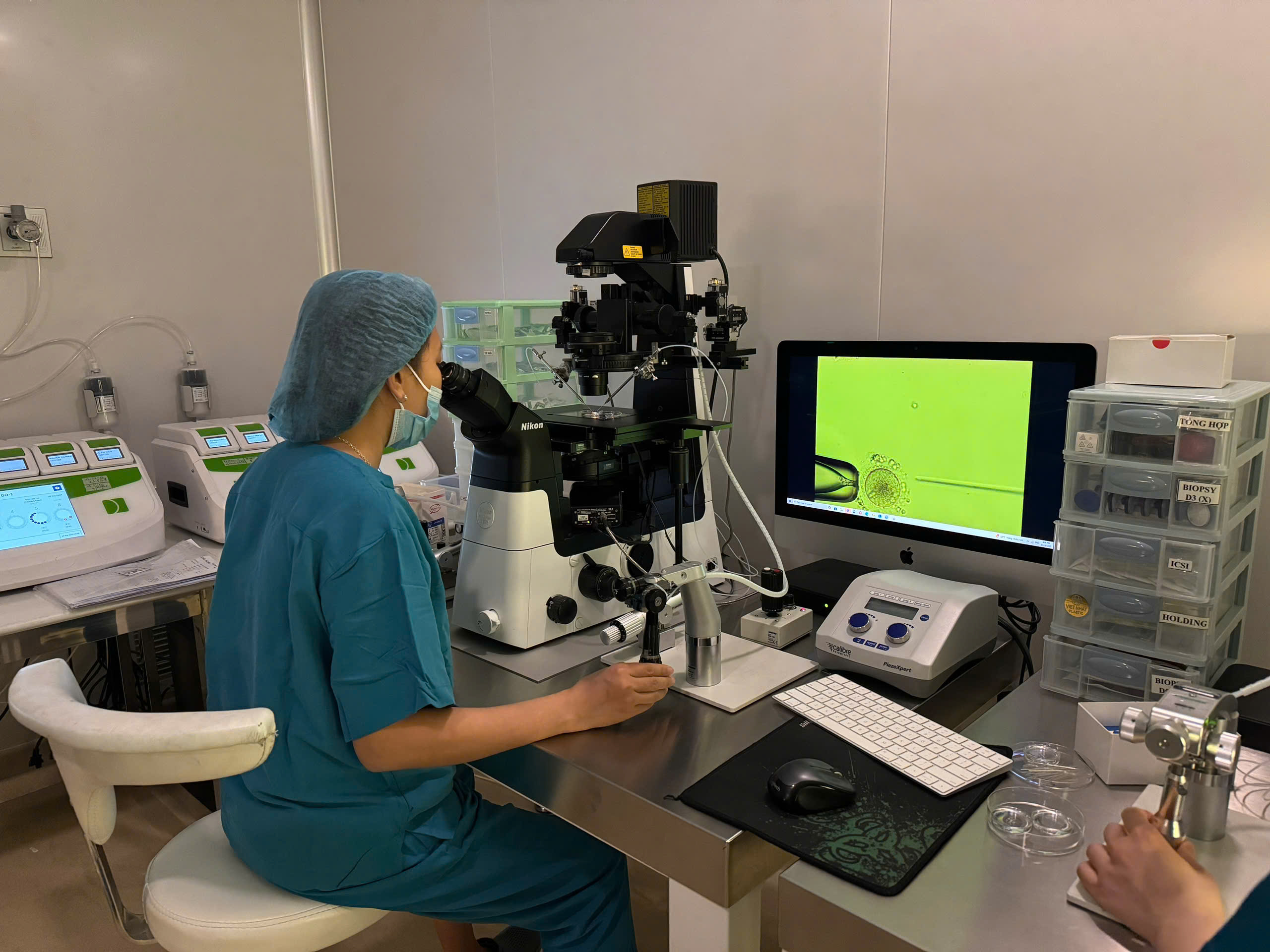 Giúp tránh truyền bệnh di truyền cho thế hệ sau