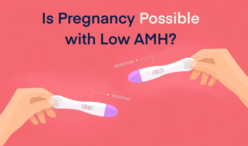 Ảnh hưởng thực tế của AMH thấp đến khả năng sinh sản