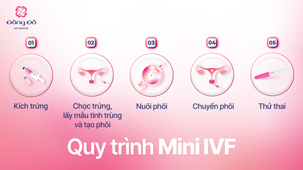 Quy trình điều trị và khả năng tùy chỉnh theo từng trường hợp