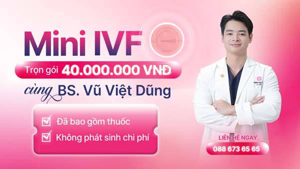 Giới thiệu về Mini IVF