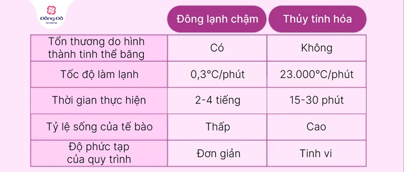 Quy trình cơ bản của việc trữ đông trứng