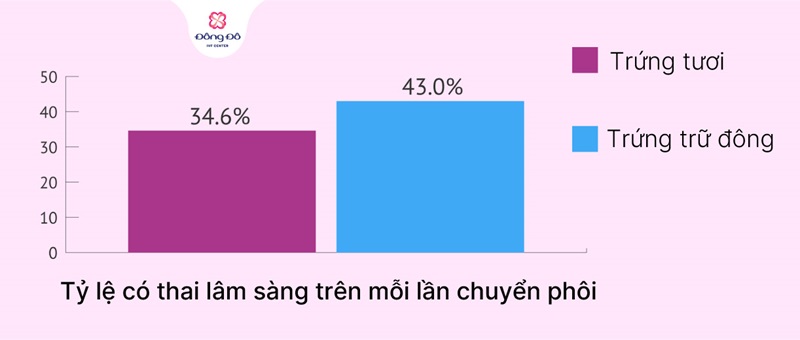 Chi phí và địa chỉ trữ đông trứng uy tín