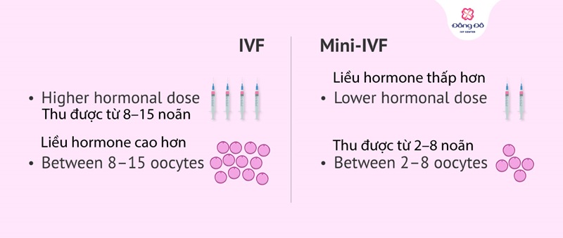 Mini IVF là gì?