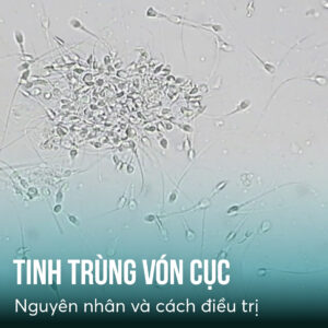 tinh trung von cuc bac si tang duc cuong