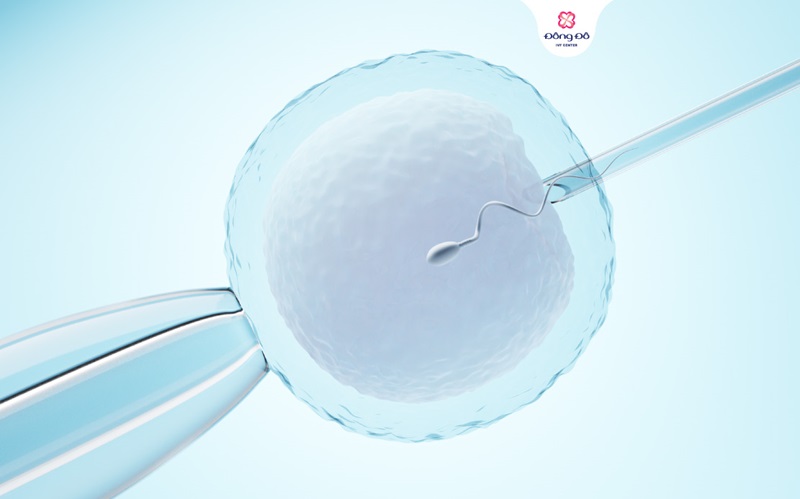 Tại sao PGT giúp tăng tỷ lệ thành công và giảm nguy cơ di truyền, sảy thai