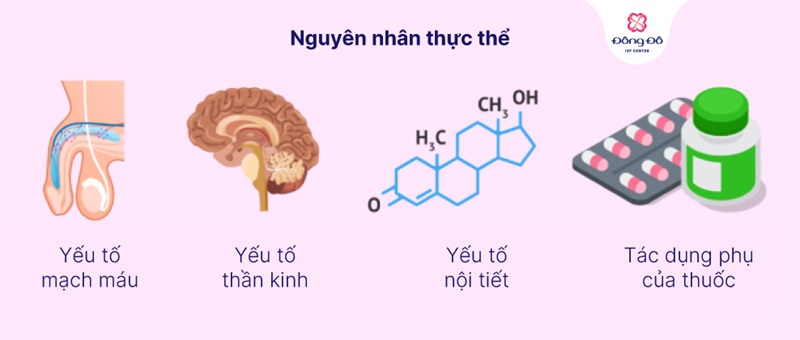 Nguyên nhân gây rối loạn cương dương