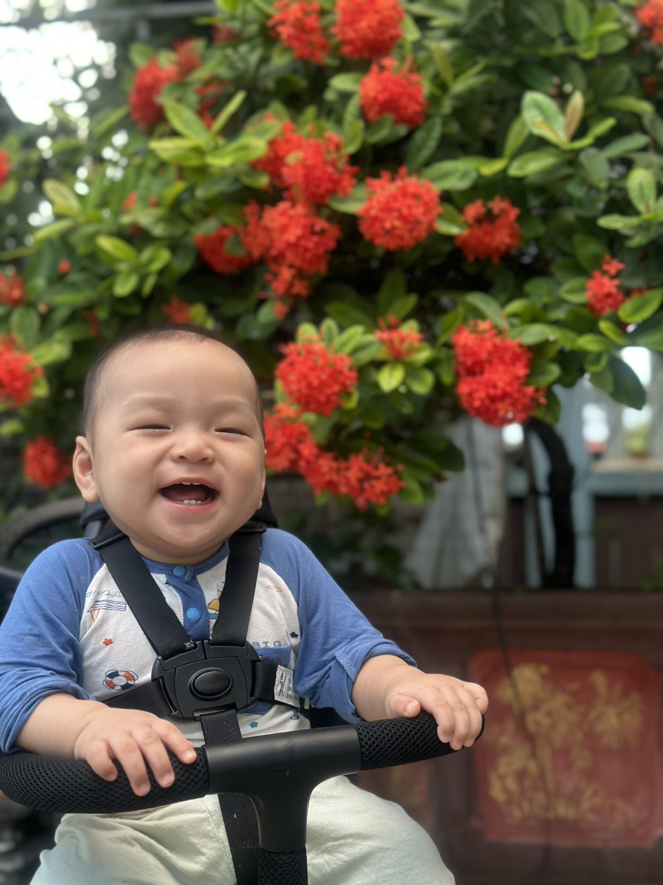 Tinh trùng yếu, tắc vòi trứng – Hạnh phúc nhờ IVF